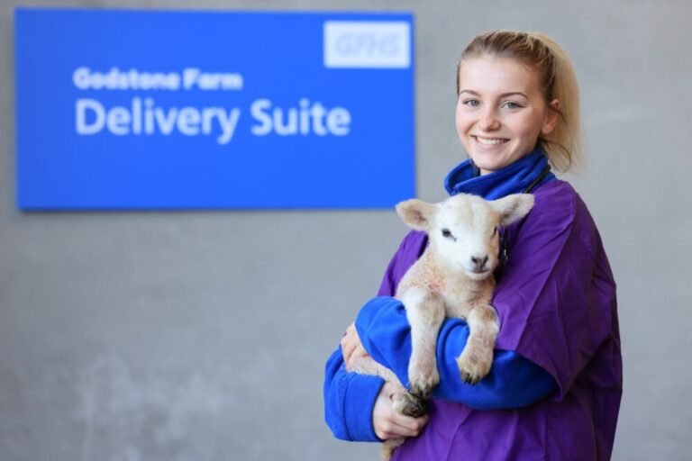 Woman standing holding lamb in front of sign saying Godstone Farm Delivery Suite