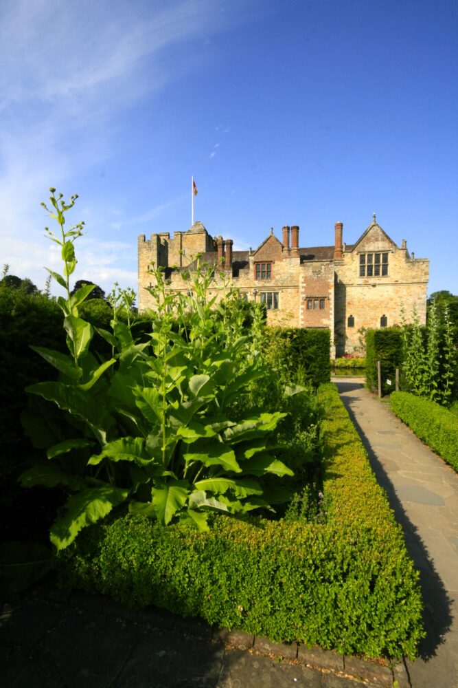 A kitchen garden, with Hever Castle in the background